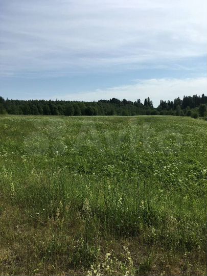 Участок 15 сот. (ИЖС)