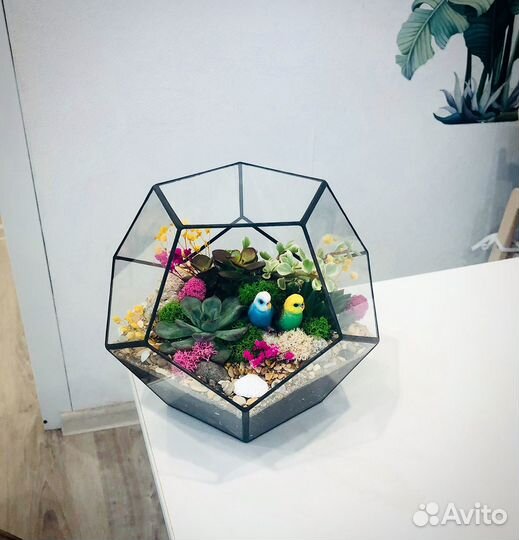 Флорариум суккулентами