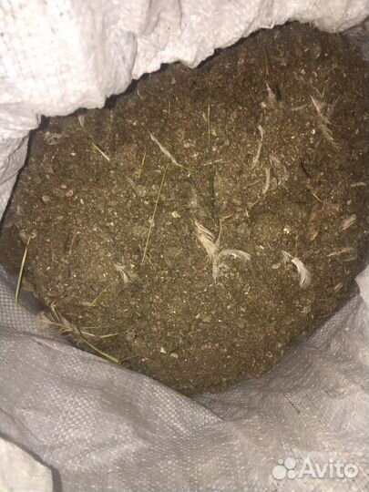 Навоз куриный