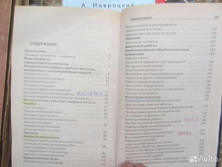 А. Пежов. Созерцатель. 2016 год
