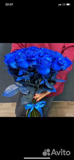 Синие розы натуральные