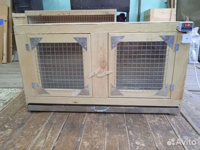 Брудер для цыплят