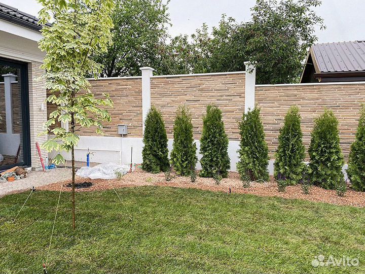 Автополив газона, озеленение