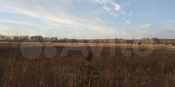 Участок 18 га (СНТ, ДНП)