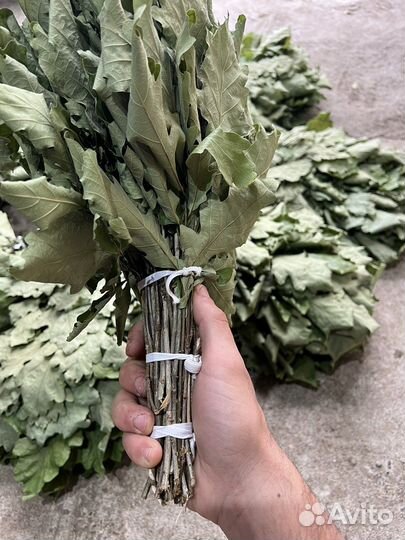 Дубовые веники для бани