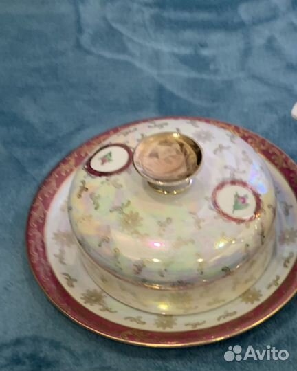 ГДР 'Роза 'масленка