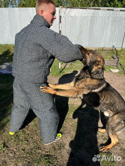 Костюм полной защиты дрессировщика