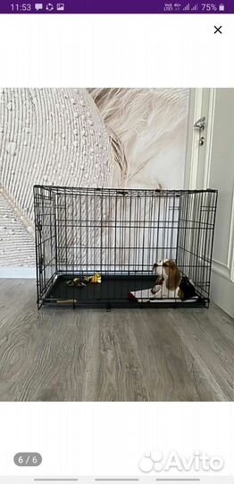 Клетка для собак