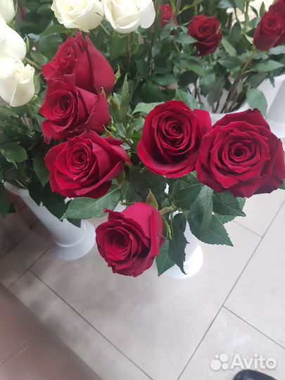 Цветы розы с доставкой