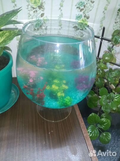 Аквариум