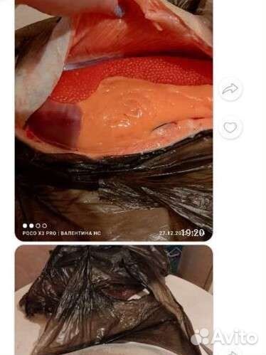 Форель охлажденная оптом