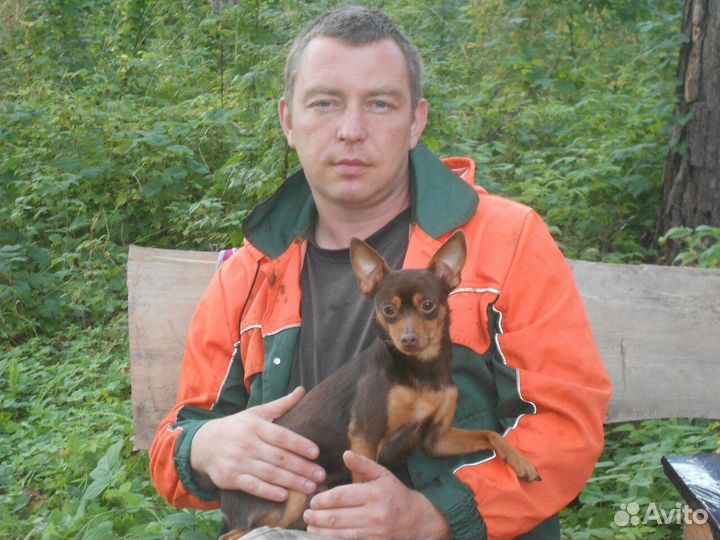 Водитель кат. всд