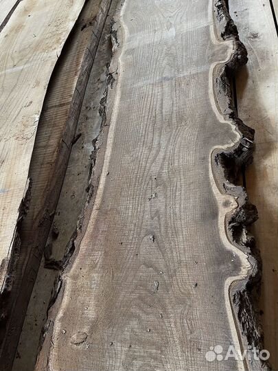 Слэб каповый карагач