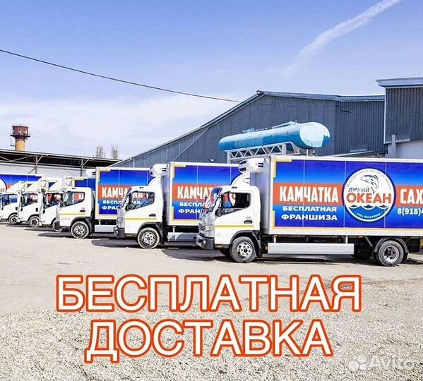 Стейк лосося опт