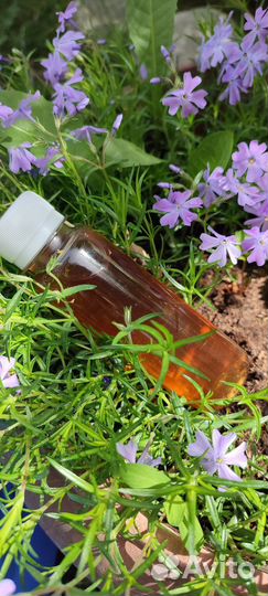 Маклюра и масло лавра для Дениса