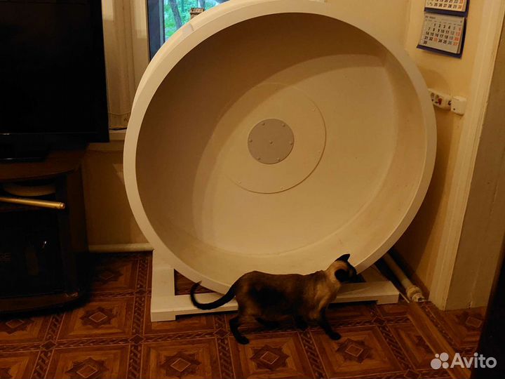 Беговое колесо для кошек