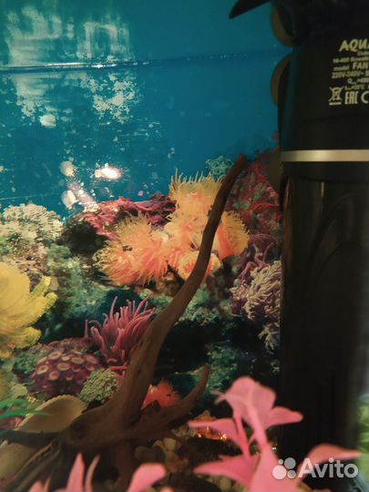 Аквариум с рыбками