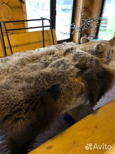 Шкура медведя (имитация)