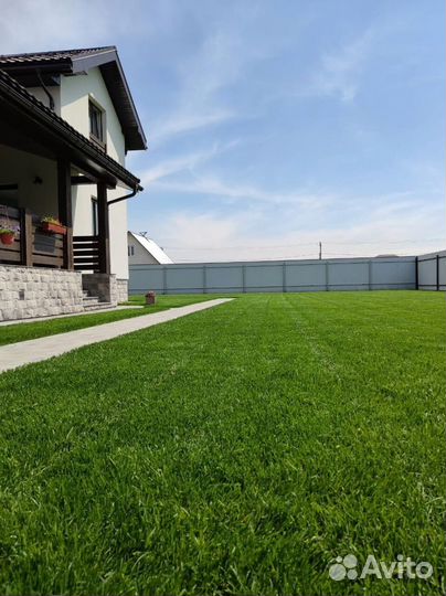 Газонная трава в рулонах от производителя