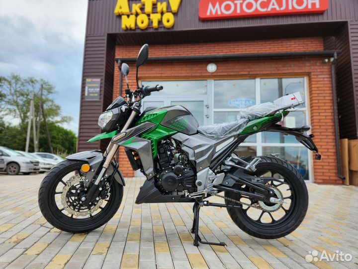 Мотоцикл Regulmoto T-Leopard 300(зелёный)