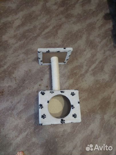 Кошачий домик