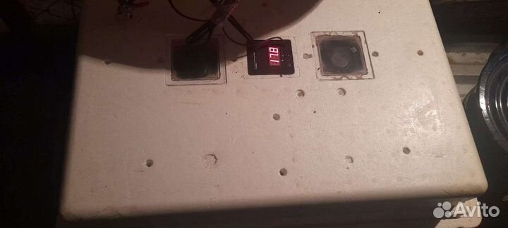 Инкубатор для яиц