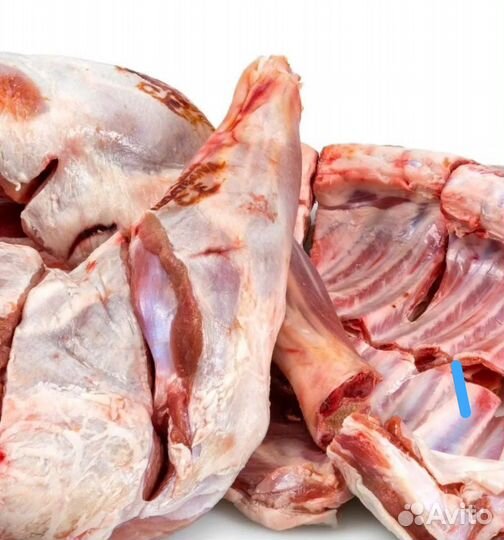 Мясо баранина