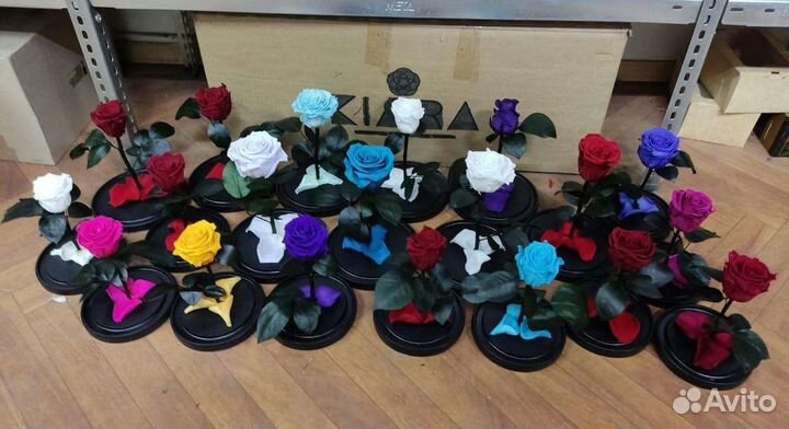 Роза в колбе(5лет) и лучший подарок на праздник