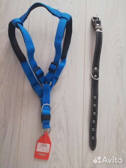 Шлейка и ошейник для собаки