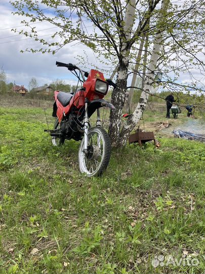 Зид 50 пилот