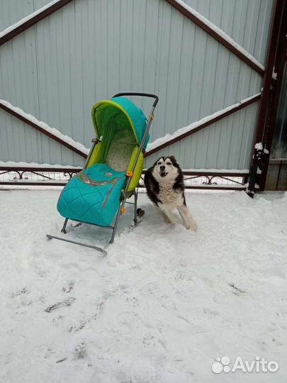 Коляска санки Nika Kids