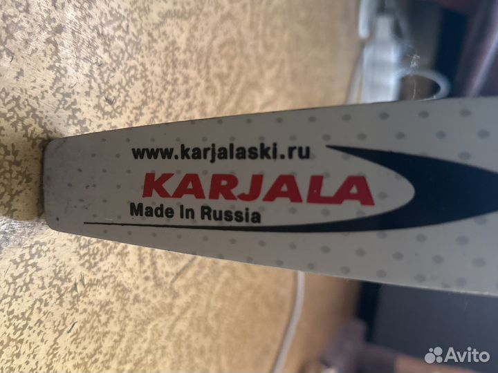 Лыжи детские 160