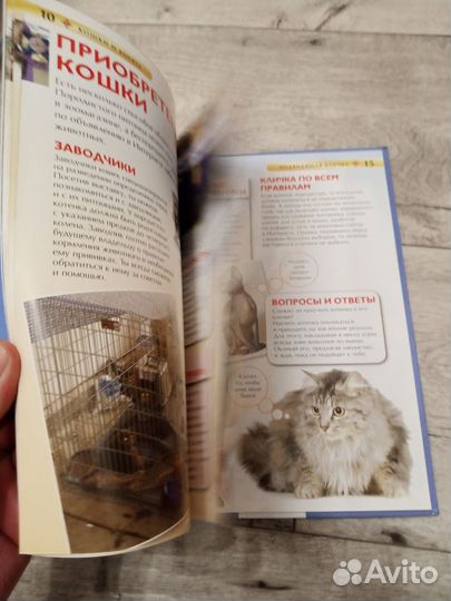 Энциклопедия