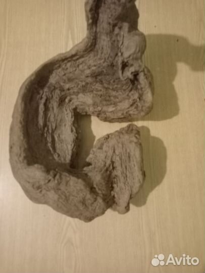 Коряга из горной реки