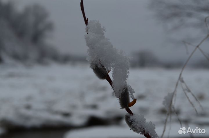 Фотоаппарат nikon d 5100