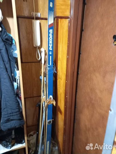 Беговые лыжи