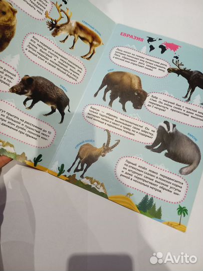 Детский книги