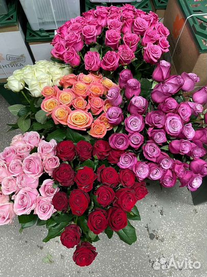 Роза в Новосибирске с доставкой в городе. Роза