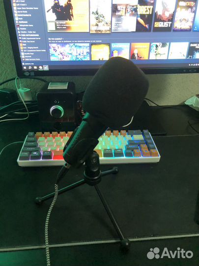 Студийный микрофон Yanmai Q3B