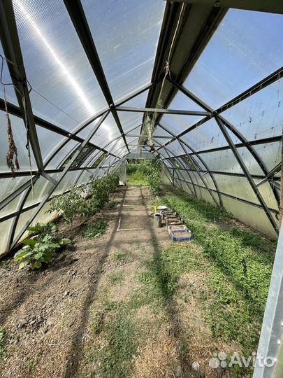 Теплица 5х10