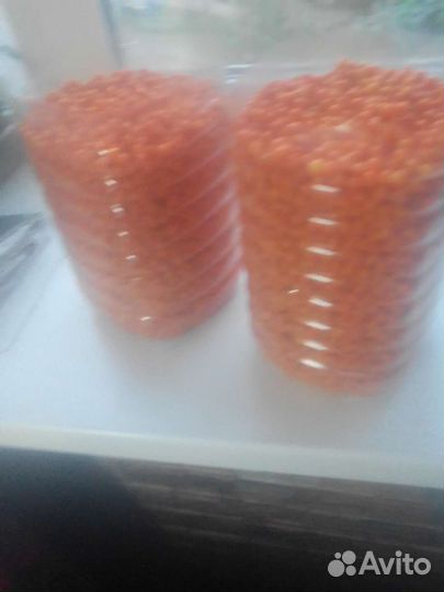 Облепиха Саженцы и Ягода