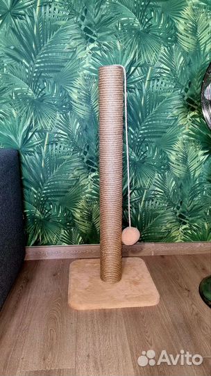 Когтеточка