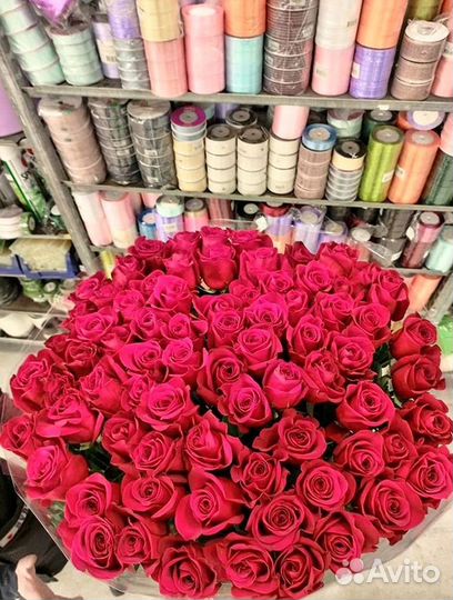 Розы Эквадор Метровые 100 см доставка Москва