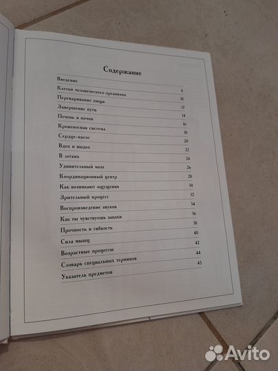 Что внутри человека Барбара Дриллсма