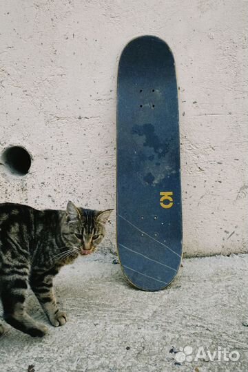 Дека для скейтборда 8.25