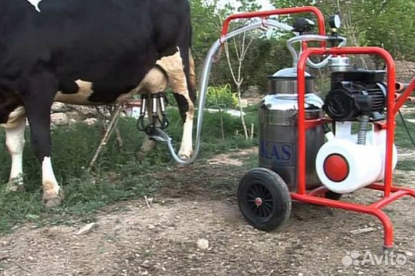 Доильный аппарат для коров бу