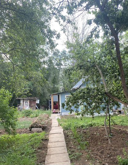 Дача 55,3 м² на участке 6,5 сот.