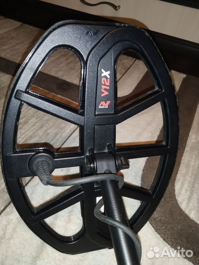Minelab X-Terra Pro