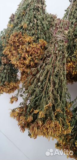 Лечебные травы