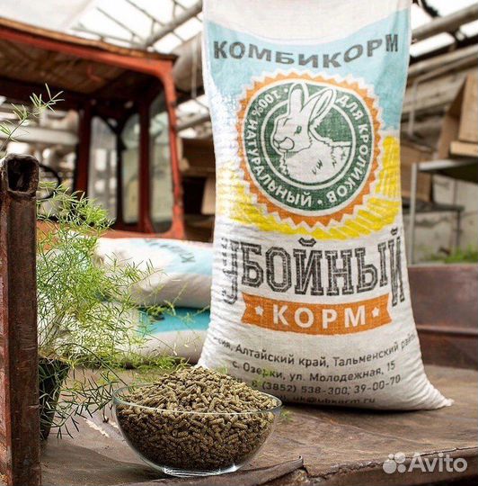 Пшеница, комбикорм для с/х животных